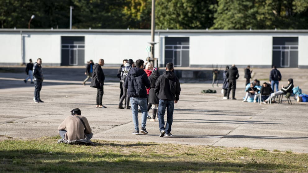 Происшествия: Бранденбург страдает от наплыва просителей убежища: беженки рожают детей прямо на улице