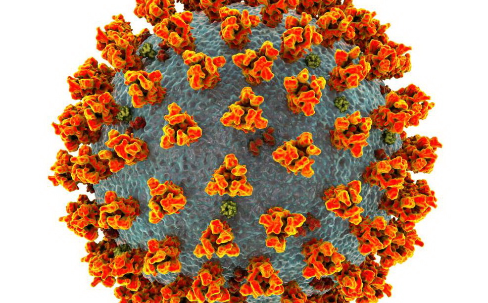Общество: Обнаружен новый штамм коронавируса: министр здравоохранения говорит о «великой угрозе»