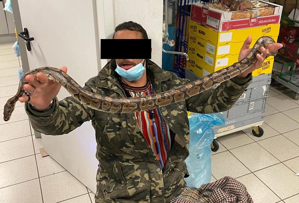 Происшествия: Курьезный случай в Гессене: мужчина со змеей в куртке пытался украсть бутылку водки