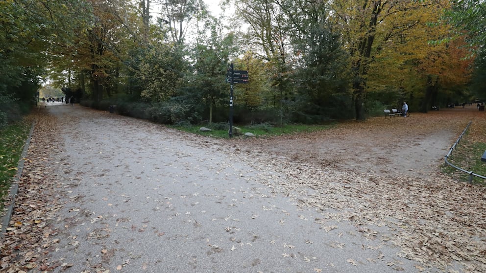 Происшествия: Ужасный инцидент в городском парке Гамбурга: 11 человек изнасиловали 15-летнюю девушку