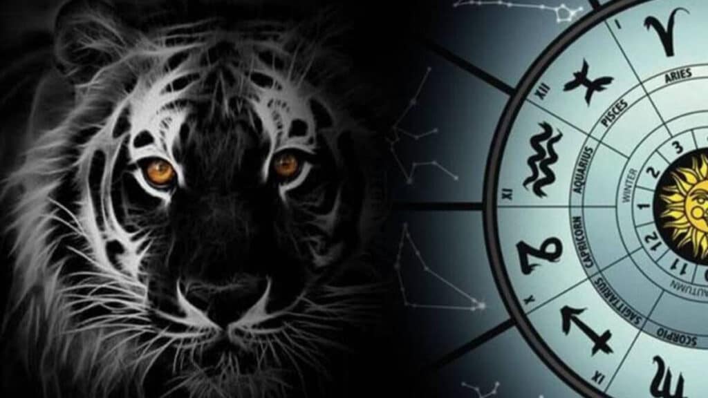 Досуг: Что год Тигра приготовил для каждого знака зодиака