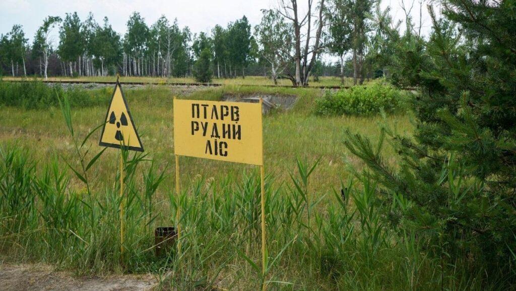 Общество: Спустя 35 лет после ядерной катастрофы швейцарская компания хочет снова сделать Чернобыль обитаемым