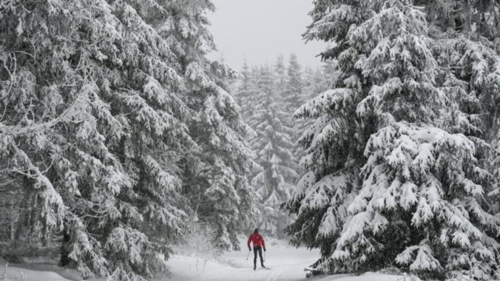 Погода: Надежда на снежные каникулы: где в Германии в ближайшие дни может выпасть снег