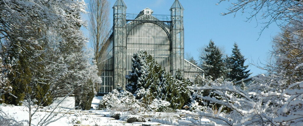 ботанический сад в берлине зимой