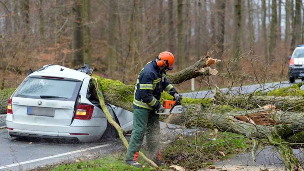 Происшествия: Ураган «Иления» унес еще одну жизнь: в Нижней Саксонии дерево упало на едущий автомобиль, водитель скончался