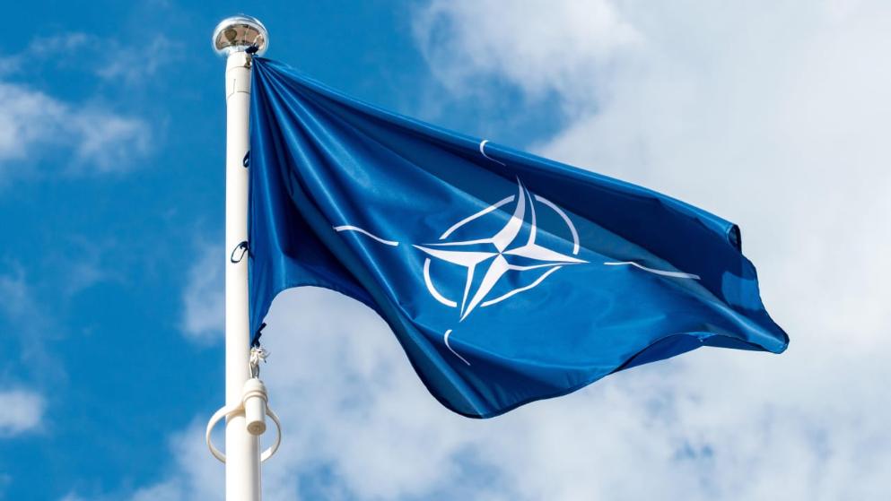 Общество: Матиас Депфнер: члены НАТО должны действовать СЕЙЧАС