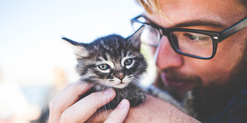 мужчина в очках с серым котенком в руках